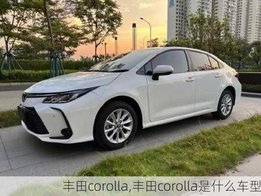 丰田corolla,丰田corolla是什么车型