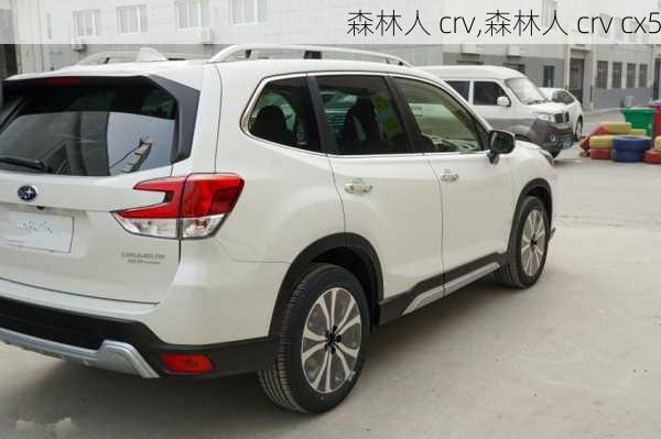 森林人 crv,森林人 crv cx5