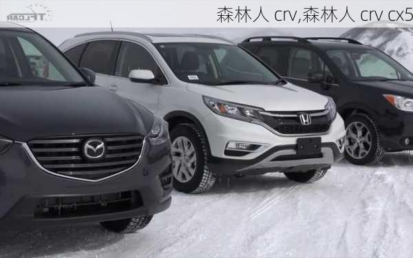 森林人 crv,森林人 crv cx5