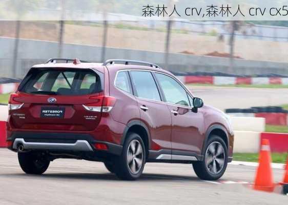 森林人 crv,森林人 crv cx5