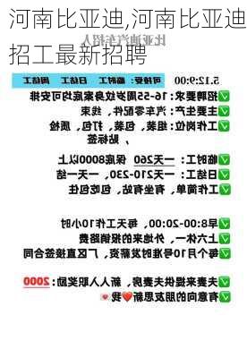 河南比亚迪,河南比亚迪招工最新招聘