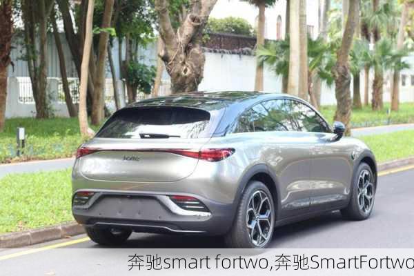 奔驰smart fortwo,奔驰SmartFortwo