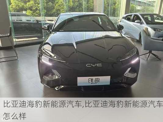 比亚迪海豹新能源汽车,比亚迪海豹新能源汽车怎么样