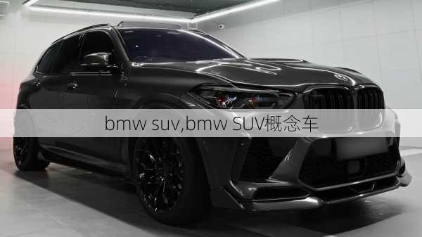 bmw suv,bmw SUV概念车