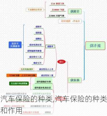 汽车保险的种类,汽车保险的种类和作用