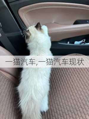 一猫汽车,一猫汽车现状