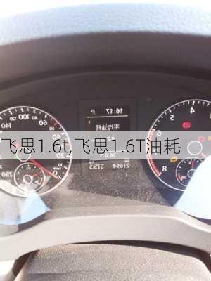 飞思1.6t,飞思1.6T油耗