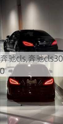 奔驰cls,奔驰cls300