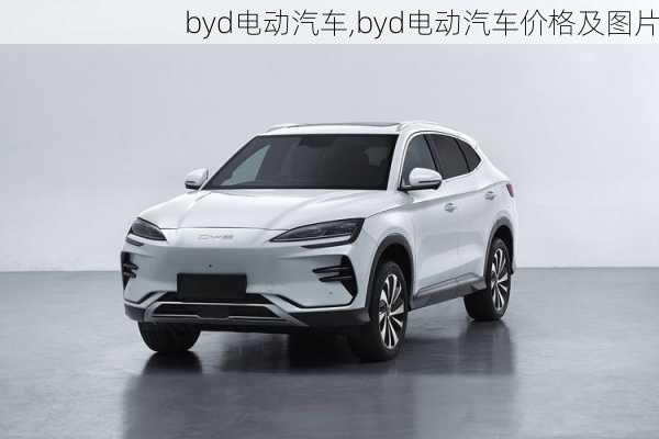 byd电动汽车,byd电动汽车价格及图片