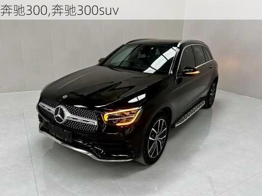 奔驰300,奔驰300suv