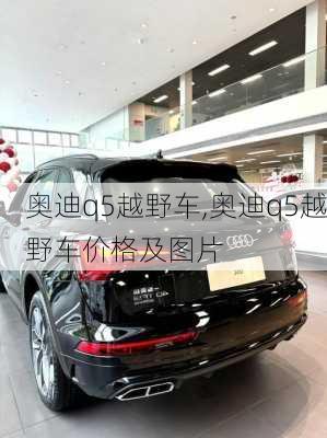 奥迪q5越野车,奥迪q5越野车价格及图片