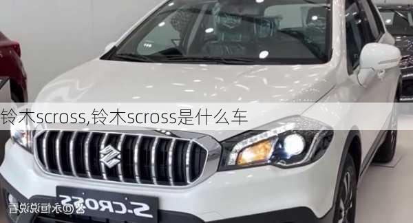 铃木scross,铃木scross是什么车