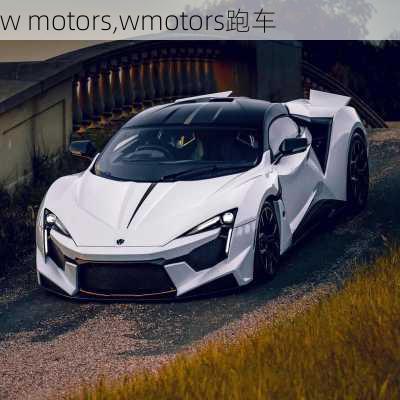 w motors,wmotors跑车